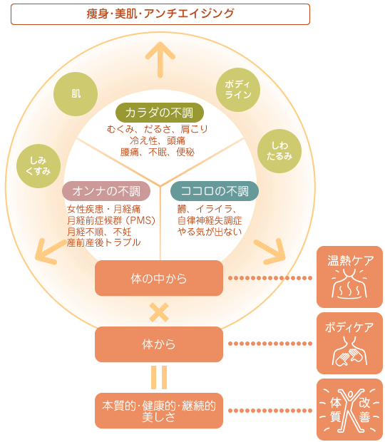 痩身･美肌･アンチエイジング