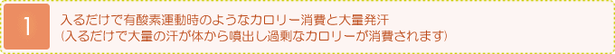 入るだけで有酸素運動時のようなカロリー消費と大量発汗(入るだけで大量の汗が体から噴出し過剰なカロリーが消費されます)
